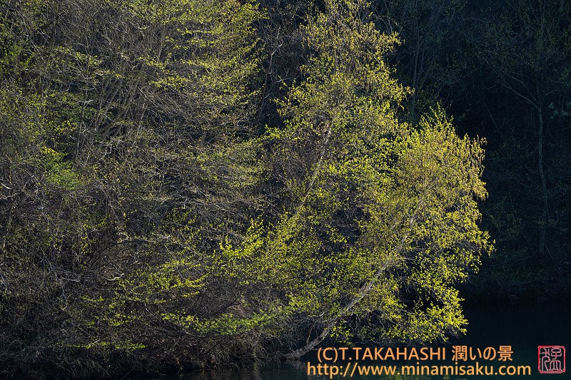 ../Images/7R250429 (22).jpg